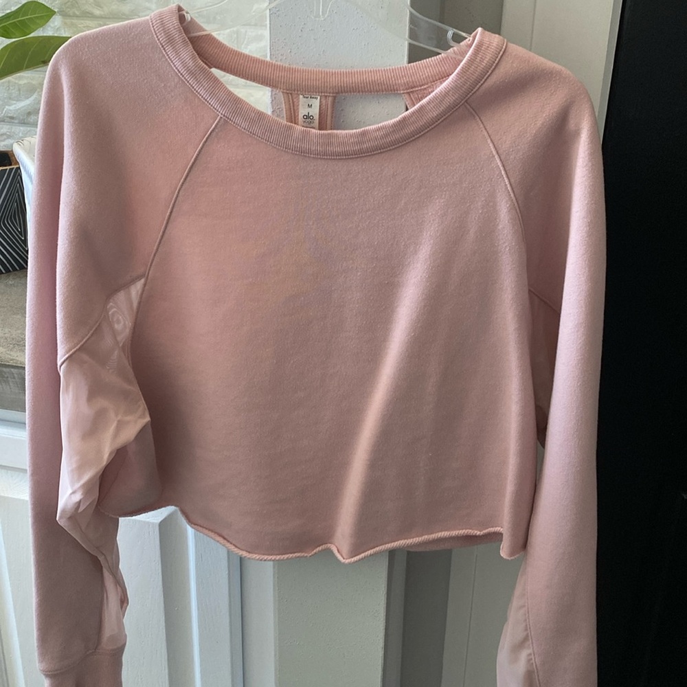 ALO Cropped Sweatshirt